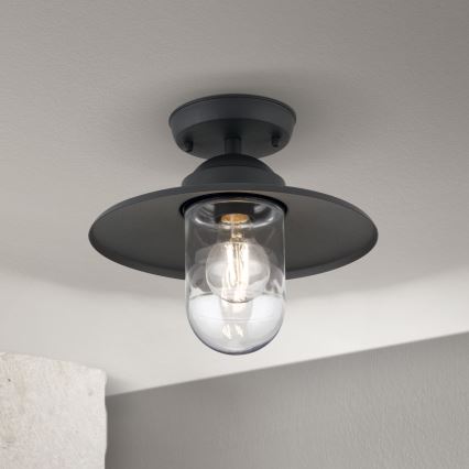 Ulkokäyttöön pinta-asennettava kattovalaisin EDWARD 1xE27/60W/230V IP44 antrasiitti