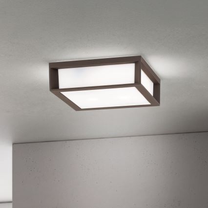 Ulkovalaisin HENRY 2xE27/15W/230V 26x26 cm IP44 ruskea