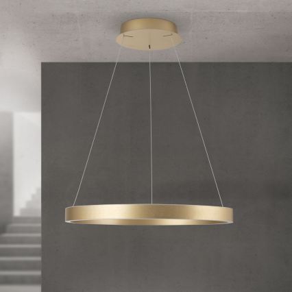 himmennettävä LED-riippuvalaisin vaijerilla KOLK LED/60W/230V 2700/3000/4000K halkaisija 60 cm kultainen
