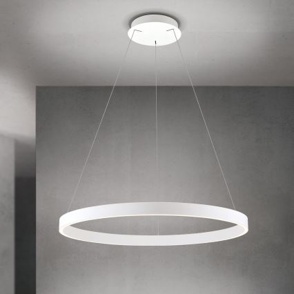 LED-himmennettävä riippuvalaisin vaijerilla KOLK LED/80W/230V 2700/3000/4000K, halkaisija 80 cm, valkoinen