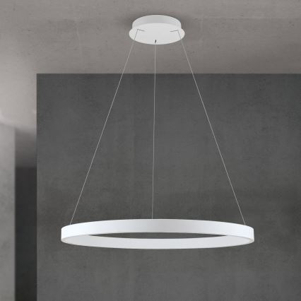 LED-himmennettävä riippuvalaisin vaijerilla KOLK LED/80W/230V 2700/3000/4000K, halkaisija 80 cm, valkoinen