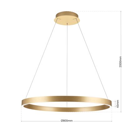himmennettävä LED-riippuvalaisin vaijerilla KOLK LED/80W/230V 2700/3000/4000K Ø 80 cm kultainen