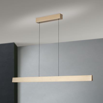 LED himmennettävä kattokruunu köydellä TARA LED/44W/230V 2700/3800/4500/5700K kulta