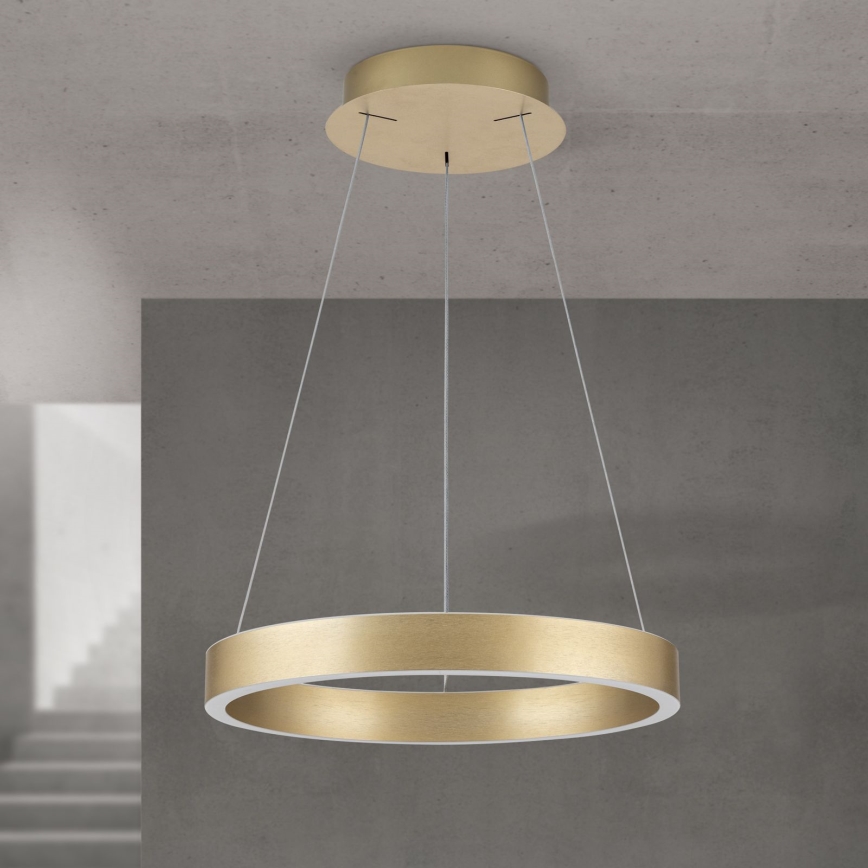 KOLK himmennettävä LED-riippuvalaisin vaijerilla LED/40W/230V 2700/3000/4000K halkaisija 40 cm kultainen