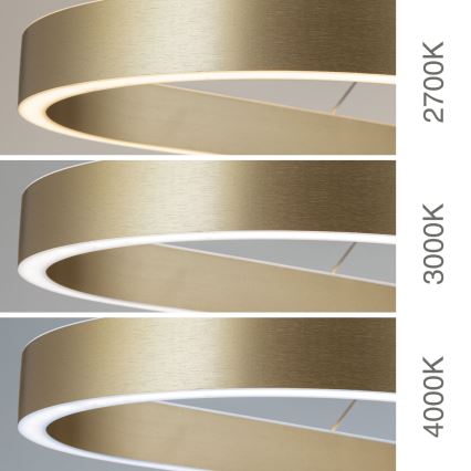 CARRARA LED-riippuvalaisin vaijerilla LED/80W/230V 2700/3000/4000K kultainen