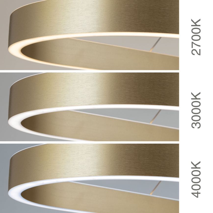 CARRARA LED-riippuvalaisin vaijerilla LED/80W/230V 2700/3000/4000K kultainen