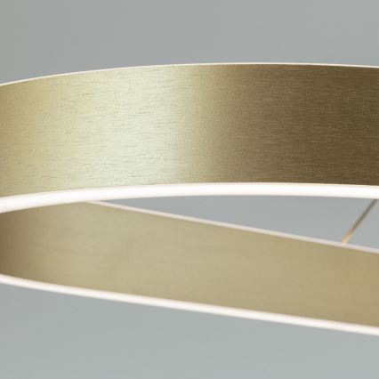 CARRARA LED-riippuvalaisin vaijerilla LED/80W/230V 2700/3000/4000K kultainen