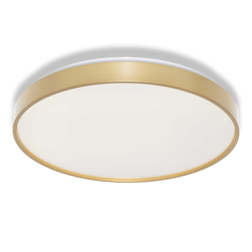 Osram - CEILING LUXO LED-kattovalaisin, 24 W / 230 V, Ø 38 cm, kullanvärinen