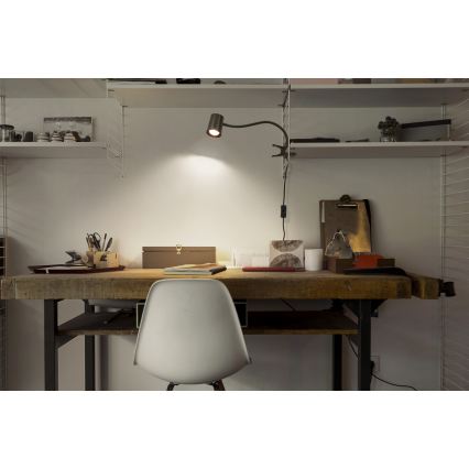 Osram - DESK LINE pöytävalaisin klipsillä 1xGU10/9W/230V musta