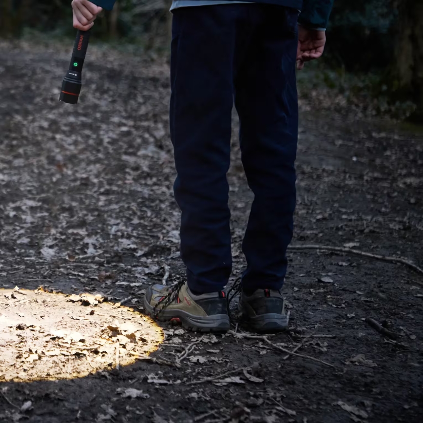 Osram - himmennettävä ladattava LED-taskulamppu LEDINSPECT PRO TORCH 1200 LED/13W/3,6V 4000 mAh IP44