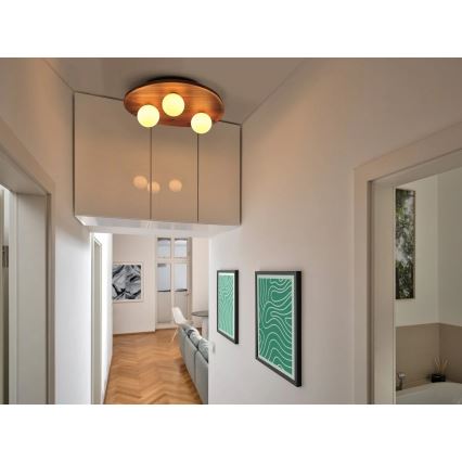 Osram - Kattovalaisin ACACIA NEST 3xG9/5W/230V akasia