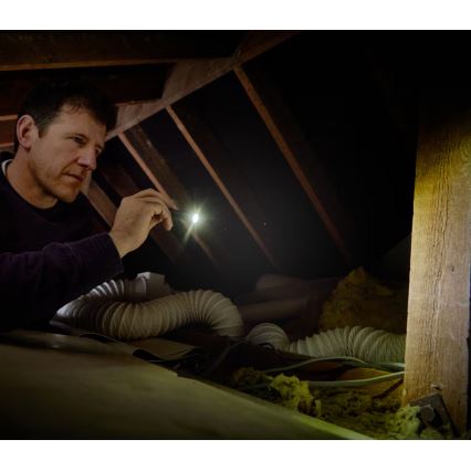 Osram - LED-himmennettävä taskulamppu LEDINSPECT TORCH 250 ESSENTIAL LED/2W/2xAAA IP44