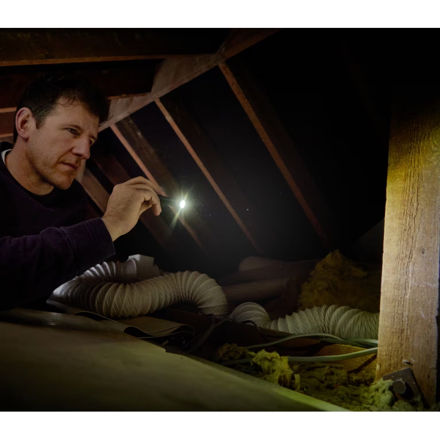 Osram - LED-himmennettävä taskulamppu LEDINSPECT TORCH 250 ESSENTIAL LED/2W/2xAAA IP44