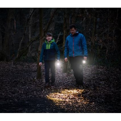 Osram - Himmennettävä LED-taskulamppu LEDINSPECT TORCH 350 ESSENTIAL LED/4W/2xAAA IP44