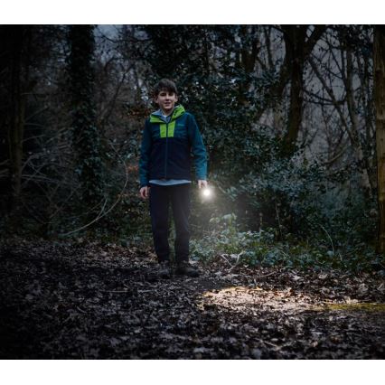 Osram - Himmennettävä LED-taskulamppu LEDINSPECT TORCH 350 ESSENTIAL LED/4W/2xAAA IP44