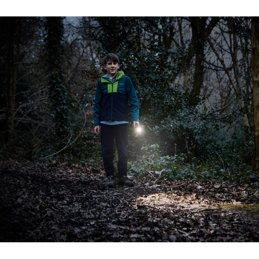 Osram - Himmennettävä LED-taskulamppu LEDINSPECT TORCH 350 ESSENTIAL LED/4W/2xAAA IP44