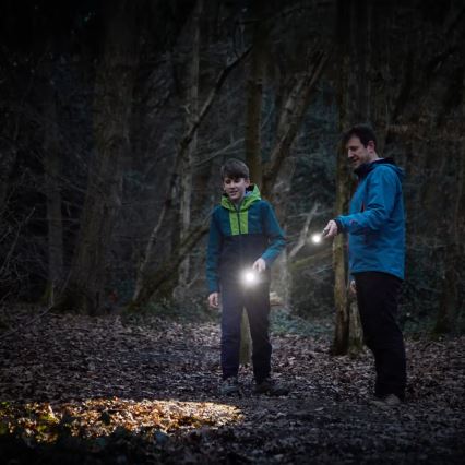 Osram - himmennettävä LED-taskulamppu LEDINSPECT TORCH 450 ESSENTIAL LED/6W/3xAAA IP44