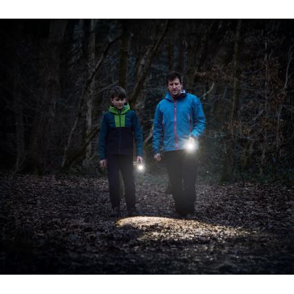 Osram - himmennettävä LED-taskulamppu LEDINSPECT TORCH 450 ESSENTIAL LED/6W/3xAAA IP44