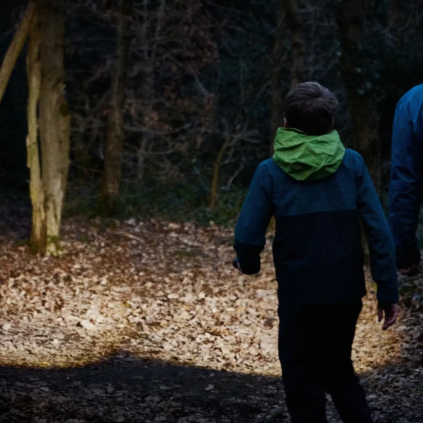 Osram - himmennettävä LED-taskulamppu LEDINSPECT TORCH 450 ESSENTIAL LED/6W/3xAAA IP44