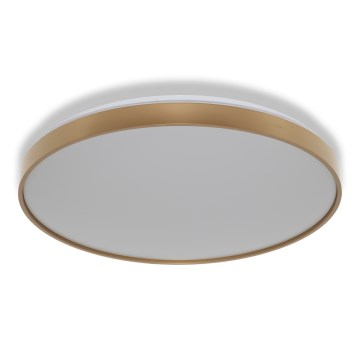 Osram - LED-kattovalaisin CEILING LUXO LED/60W/230V halkaisija 56 cm kultainen