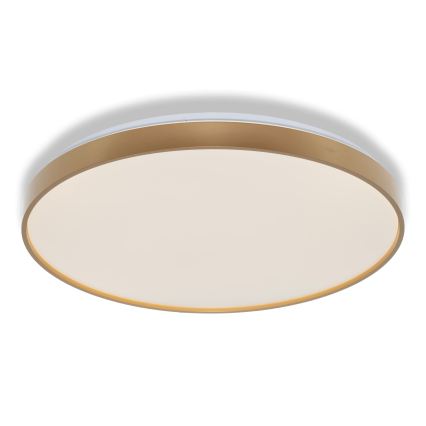 Osram - LED-kattovalaisin CEILING LUXO LED/60W/230V halkaisija 56 cm kultainen