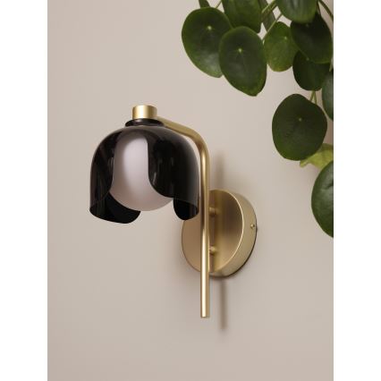 Osram - Seinävalaisin DECOR COROLLE 1xG9/20W/230V musta/kultainen