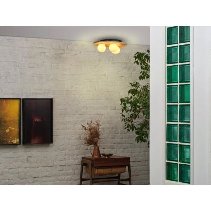 Osram - WOOD NEST kattovalaisin 3xG9/5W/230V kumipuu