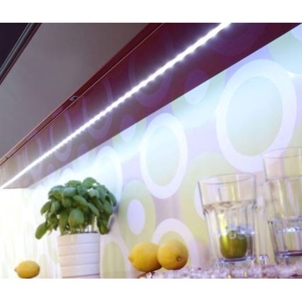 Paul Neuhaus 1205-70 - LED RGB Himmennettävä nauha TEANIA 10m LED/30W/12/230V + kauko-ohjain