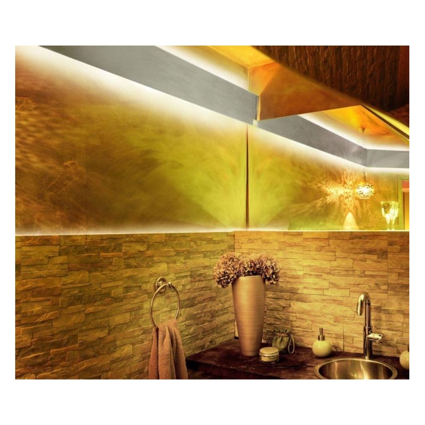 Paul Neuhaus 1205-70 - LED RGB Himmennettävä nauha TEANIA 10m LED/30W/12/230V + kauko-ohjain