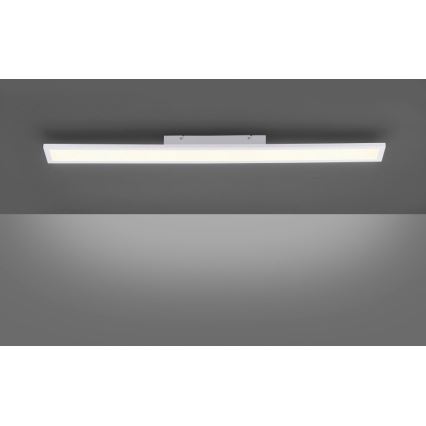 Paul Neuhaus 16537-16-O - LED Himmennettävä pinta-asetettava paneeli FLAT LED/21W/230V + kauko-ohjain