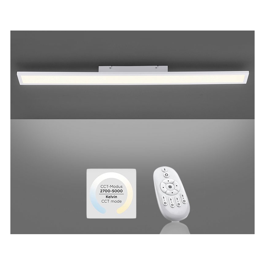 Paul Neuhaus 16537-16-O - LED Himmennettävä pinta-asetettava paneeli FLAT LED/21W/230V + kauko-ohjain