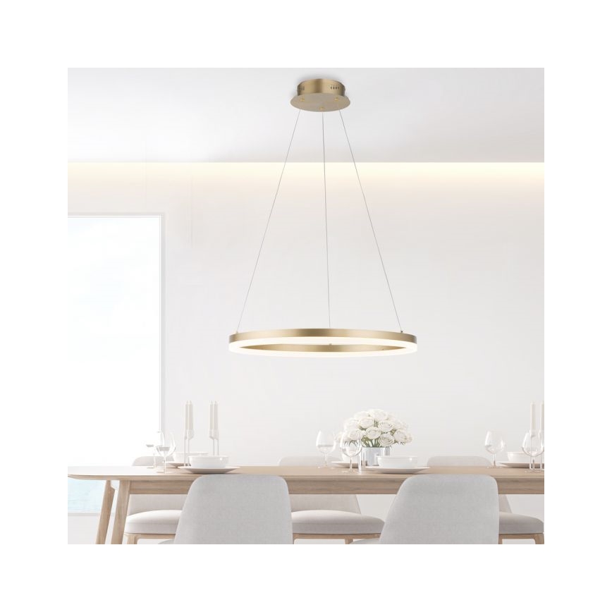 Paul Neuhaus 2382-60 - Himmennettävä LED-kattokruunu johdossa TITUS LED/38,5W/230V