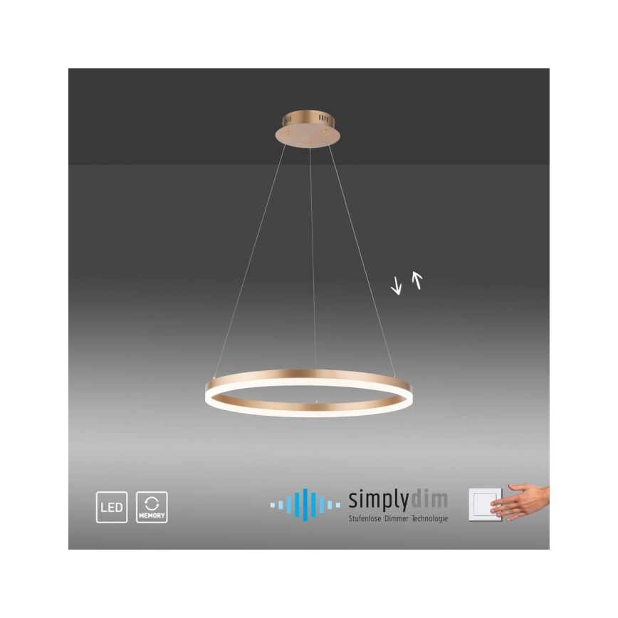 Paul Neuhaus 2382-60 - Himmennettävä LED-kattokruunu johdossa TITUS LED/38,5W/230V