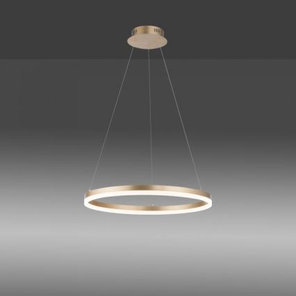 Paul Neuhaus 2382-60 - Himmennettävä LED-kattokruunu johdossa TITUS LED/38,5W/230V