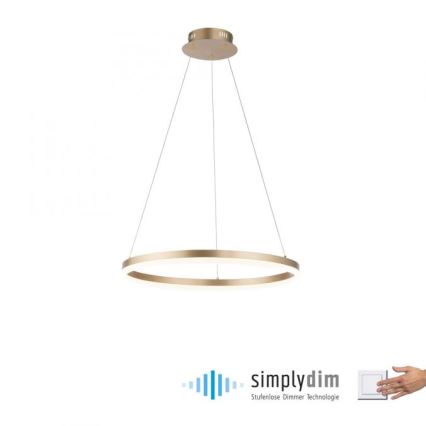 Paul Neuhaus 2382-60 - Himmennettävä LED-kattokruunu johdossa TITUS LED/38,5W/230V