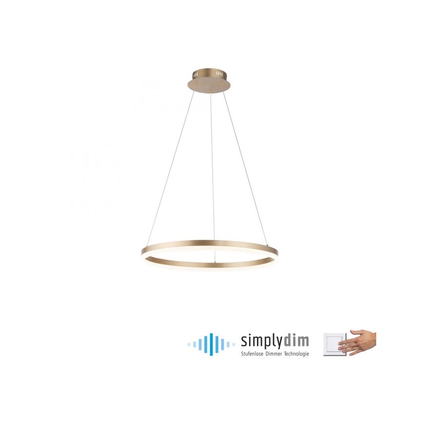 Paul Neuhaus 2382-60 - Himmennettävä LED-kattokruunu johdossa TITUS LED/38,5W/230V