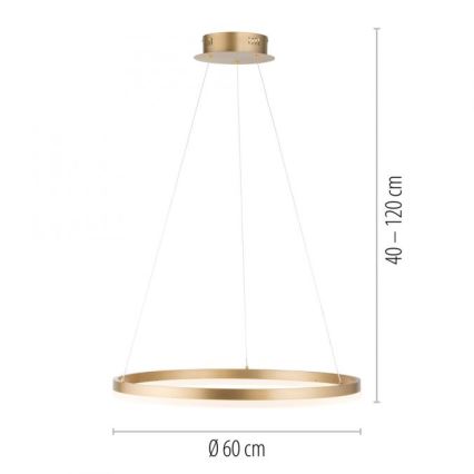 Paul Neuhaus 2382-60 - Himmennettävä LED-kattokruunu johdossa TITUS LED/38,5W/230V