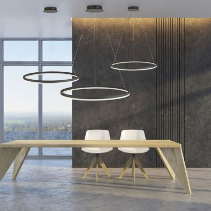 Paul Neuhaus 2383-13 - LED-himmennettävä riippuvalaisin TITUS LED / 50W / 230V