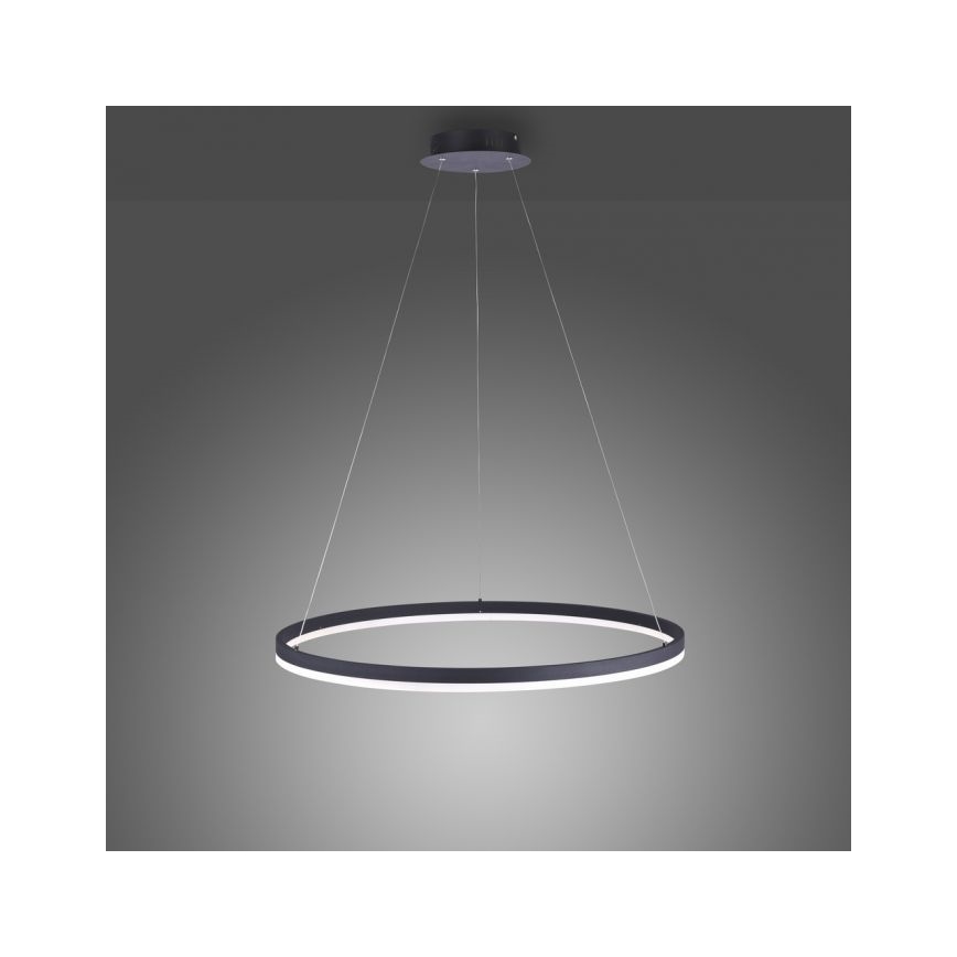 Paul Neuhaus 2383-13 - LED-himmennettävä riippuvalaisin TITUS LED / 50W / 230V