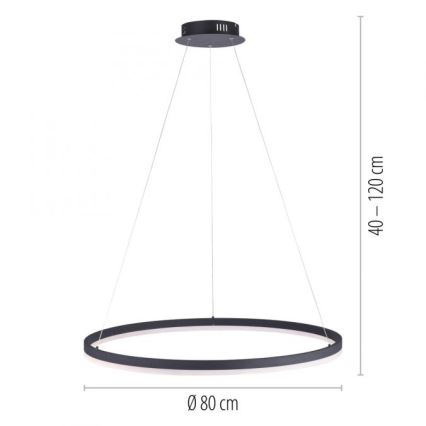 Paul Neuhaus 2383-13 - LED-himmennettävä riippuvalaisin TITUS LED / 50W / 230V
