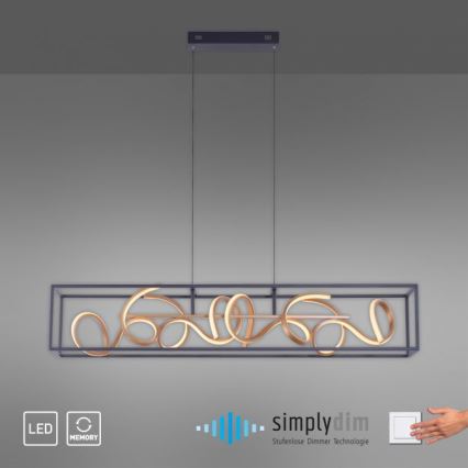 Paul Neuhaus 2416-18 - Himmennettävä LED-kattokruunu narussa SELINA 4xLED/10,2W/230V