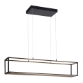 Paul Neuhaus 2441-18 - LED Himmennettävä kattokruunu narussa CONTURA 4xLED/8W/230V