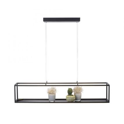 Paul Neuhaus 2441-18 - LED Himmennettävä kattokruunu narussa CONTURA 4xLED/8W/230V