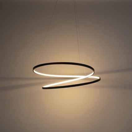 Paul Neuhaus 2474-18 - Himmennettävä LED-riippuvalaisin ROMAN LED/40W/230V musta