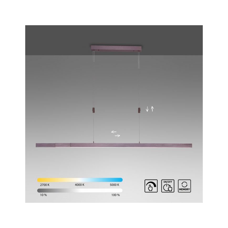 Paul Neuhaus 2568-24 - Himmennettävä LED-kattokruunu johdossa ADRIANA LED/14W/230V 2700-5000K