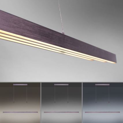 Paul Neuhaus 2568-24 - Himmennettävä LED-kattokruunu johdossa ADRIANA LED/14W/230V 2700-5000K