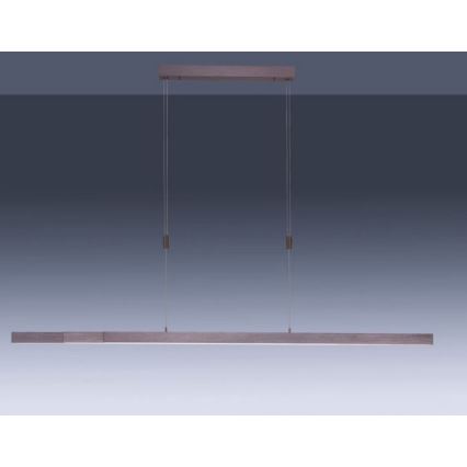 Paul Neuhaus 2568-24 - Himmennettävä LED-kattokruunu johdossa ADRIANA LED/14W/230V 2700-5000K