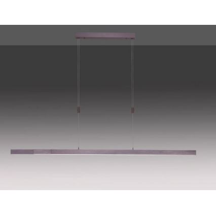 Paul Neuhaus 2568-24 - Himmennettävä LED-kattokruunu johdossa ADRIANA LED/14W/230V 2700-5000K