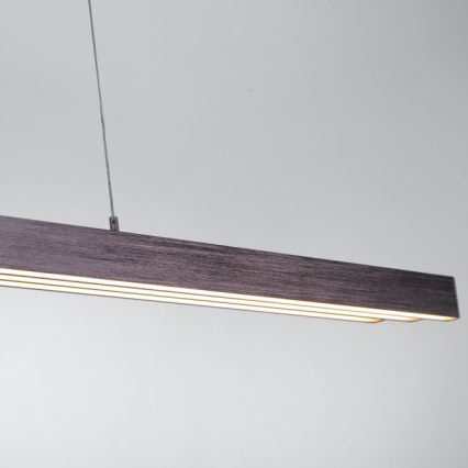 Paul Neuhaus 2568-24 - Himmennettävä LED-kattokruunu johdossa ADRIANA LED/14W/230V 2700-5000K