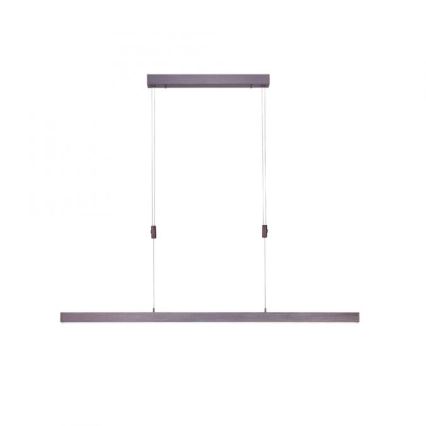 Paul Neuhaus 2568-24 - Himmennettävä LED-kattokruunu johdossa ADRIANA LED/14W/230V 2700-5000K